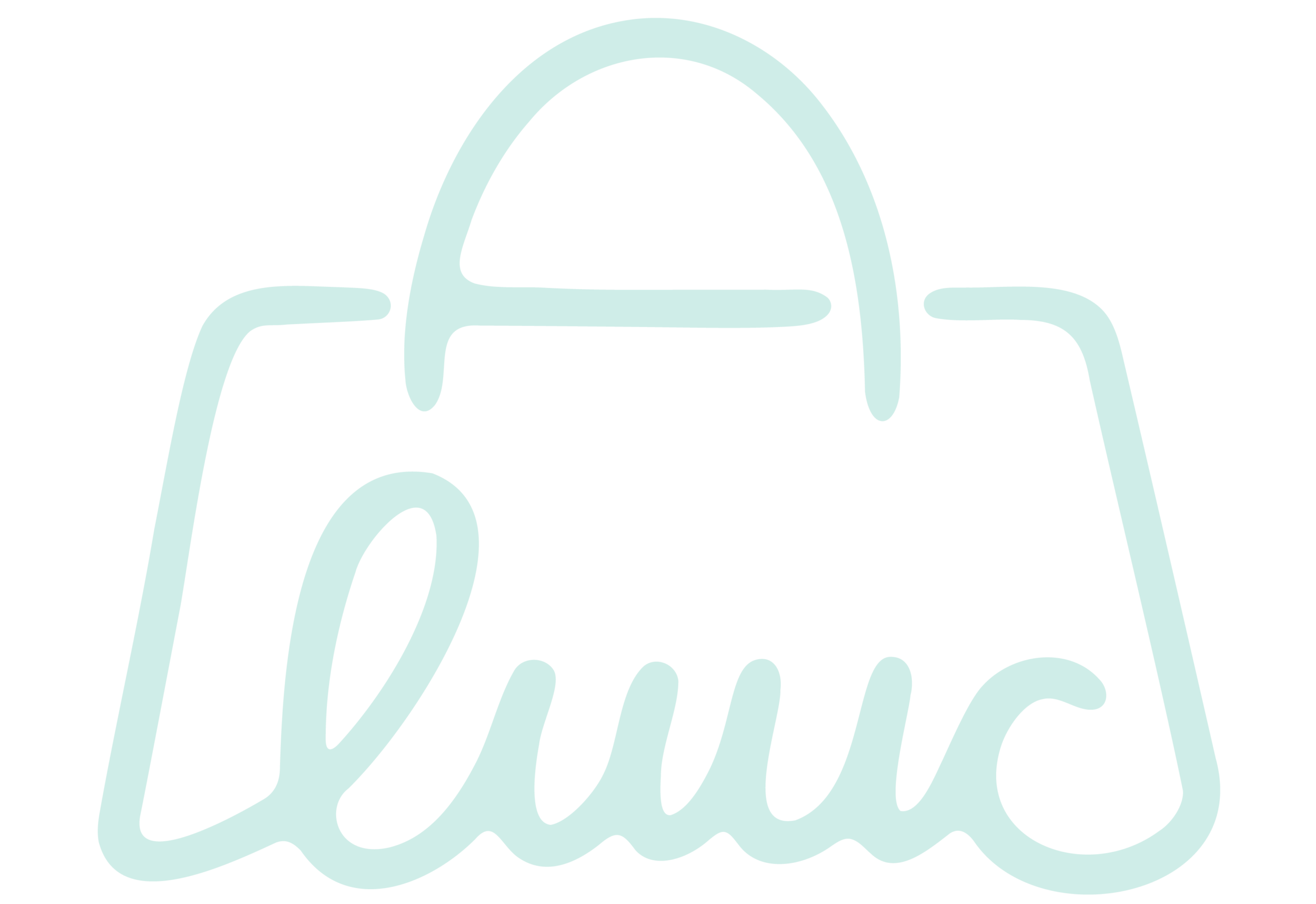 Luuc Fashion